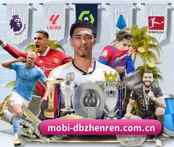 mobi-dbzhenren.com.cn APP